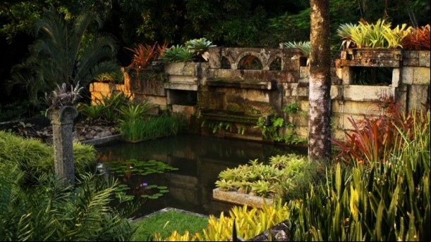 Uma das maiores coleções de plantas vivas do mundo pode ser encontrada no Sítio Roberto Burle Marx